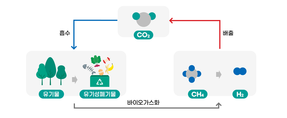 ‘살아있는’ 수소의 탄생! 바이오수소 생산 기술 A to Z | SK에코플랜트 뉴스룸